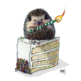 sitting pretty 293 card