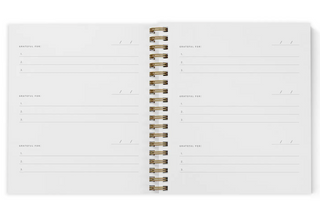 Mini Gratitude Journal