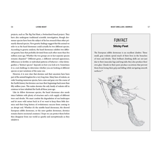 Living Night by Sophia Kimming