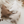 Load image into Gallery viewer, Winter Pine Tree Sherpa Pillow - Beige
