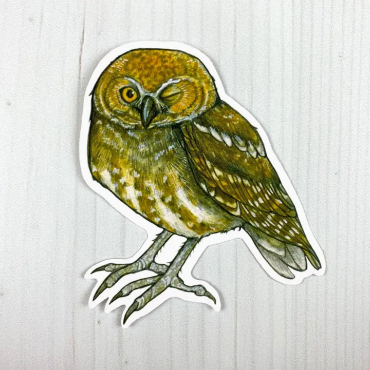 Elf Owl Sticker