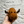 Load image into Gallery viewer, Moose Stuffed Animal
