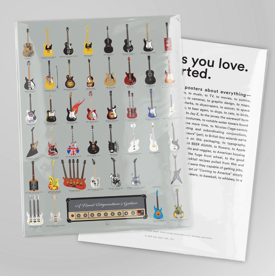 Flat Poster A Visual Compendium of Guitars - 16x20