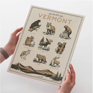 Vermont Wildlife Print - 11 x 14