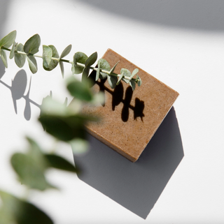 Traditional Block Soap 5oz - Eucalyptus