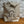 Load image into Gallery viewer, Mountains of Vermont Common Deer Tote
