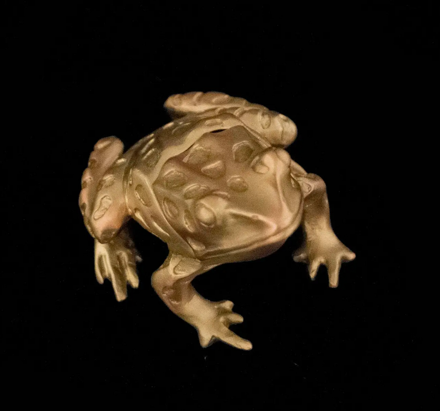 Leopard Frog Trinket Box - Brass