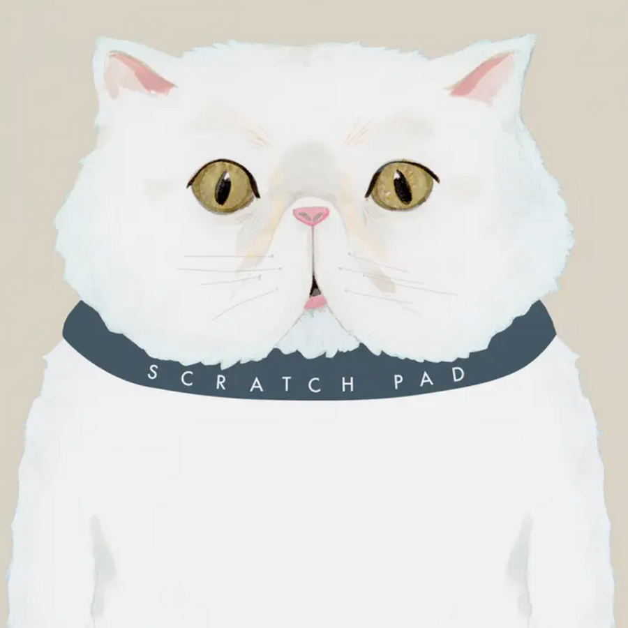 Scratch Pad