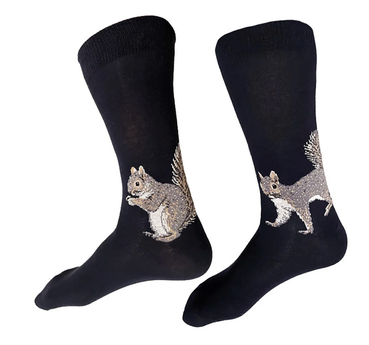 Squirrel Socks - Navy