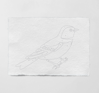 Swallow: Bird Study Paint-By-Numbers Kit