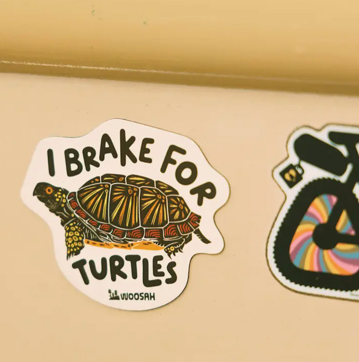 I Brake For Turtles Magnet