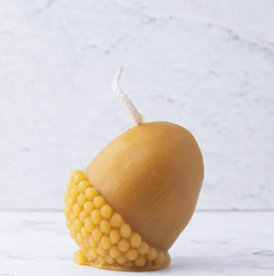 Acorn Pure Beeswax Candle