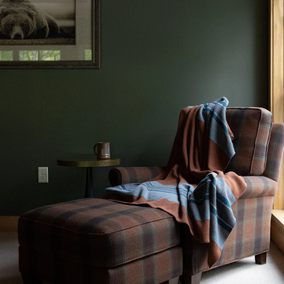 Lodge Stripe Eco-Throw Blanket - Brown