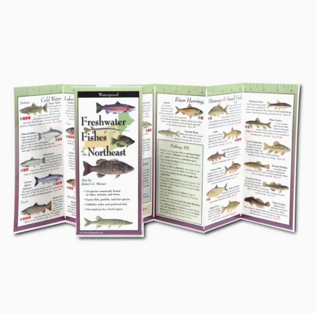 Folding Guide of Freshwater Fish of the Northeast