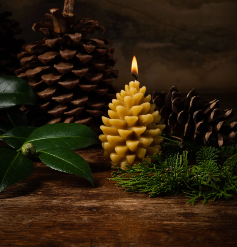 Pinecone Pure Beeswax Candle