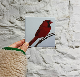 Stone Bird Coaster - Northern Cardinal