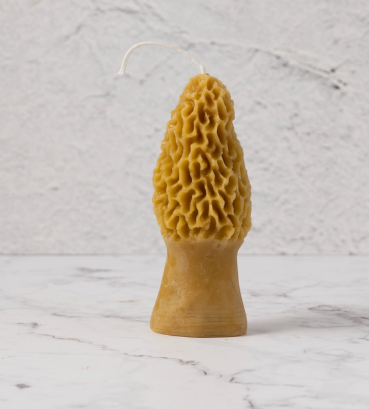 Morel Pure Beeswax Candle