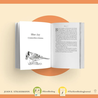 The Slow Birding Journal