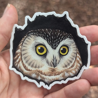 Northern Saw-Whet Owl Vinyl Sticker