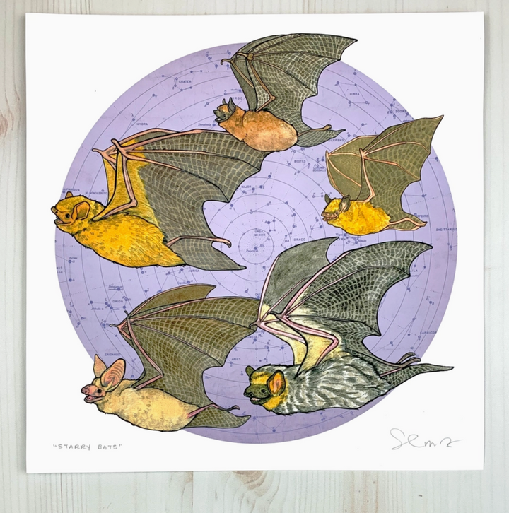Starry Bats Print 12x12