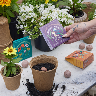 Bespoke Blooms The Alchemist's Garden