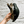 Load image into Gallery viewer, Handpainted Downy Woodpecker Wall Hanging
