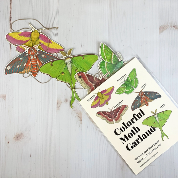 Illustrated Garland - Colorful Moth
