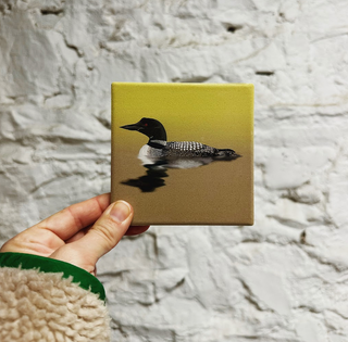 Stone Bird Coaster - Loon