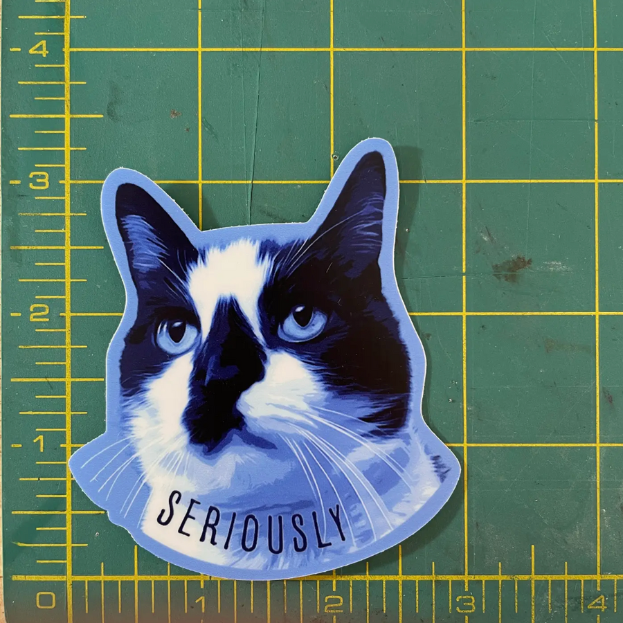 Serious Cat Stickers