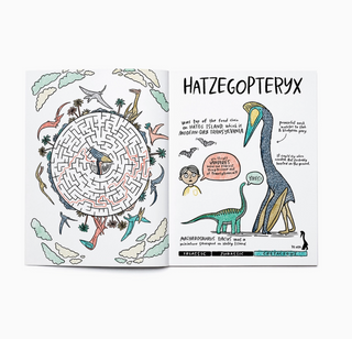Dinosaurs Coloring Book