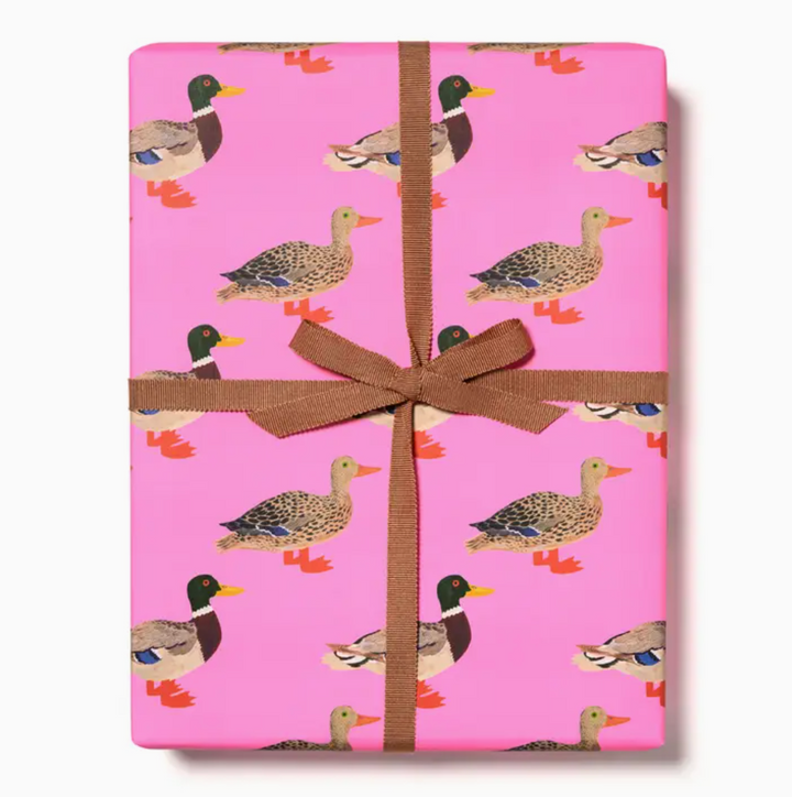 Quacky Birthday Wrapping Paper - Pickup Only