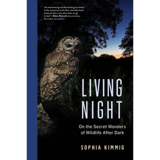 Living Night by Sophia Kimming