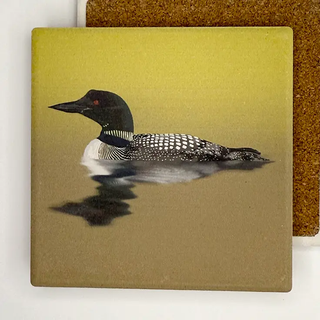 Stone Bird Coaster Common Loon