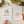 Load image into Gallery viewer, Watercolors Workbook - Woodland
