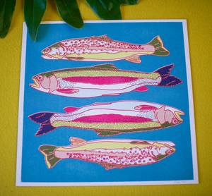 Rainbow and Brown Trout Print - 12x12