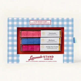 Craft Lemonade Mixer Kit
