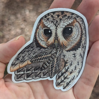 Flammulated Owl Vinyl Sticker