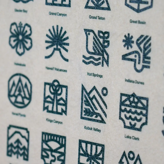 Camp Flag National Parks x Steve Wolf