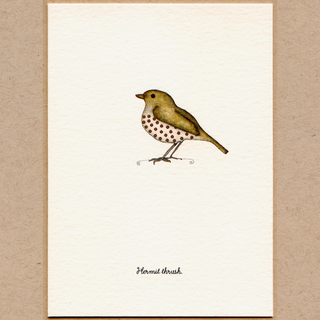 Hello From Vermont Card Set