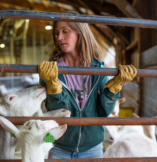 The Flatlander Goatskin Leather Gloves