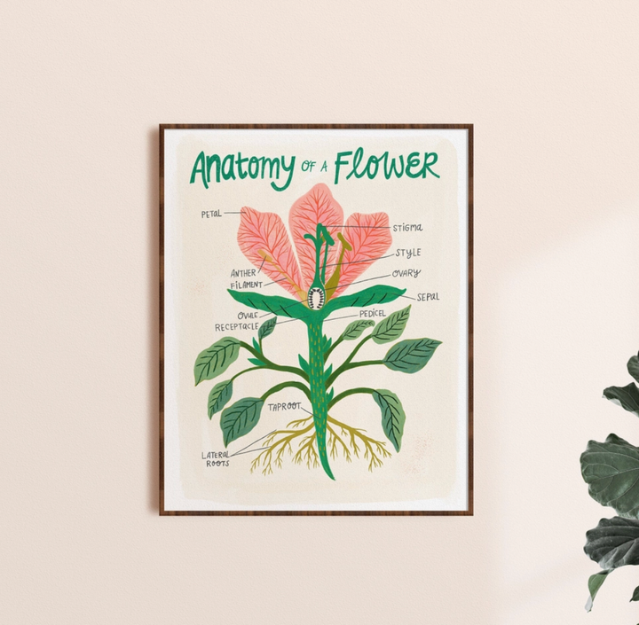 Flower Anatomy Creamy Linen Print - 8x10