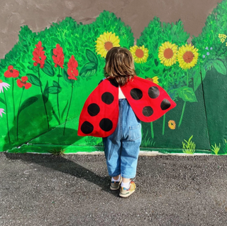 Ladybug Costume Wings