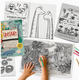 Dinosaurs Coloring Book