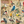 Load image into Gallery viewer, Popular Backyard Wild Birds of North America Puzzle - 1000 Piece
