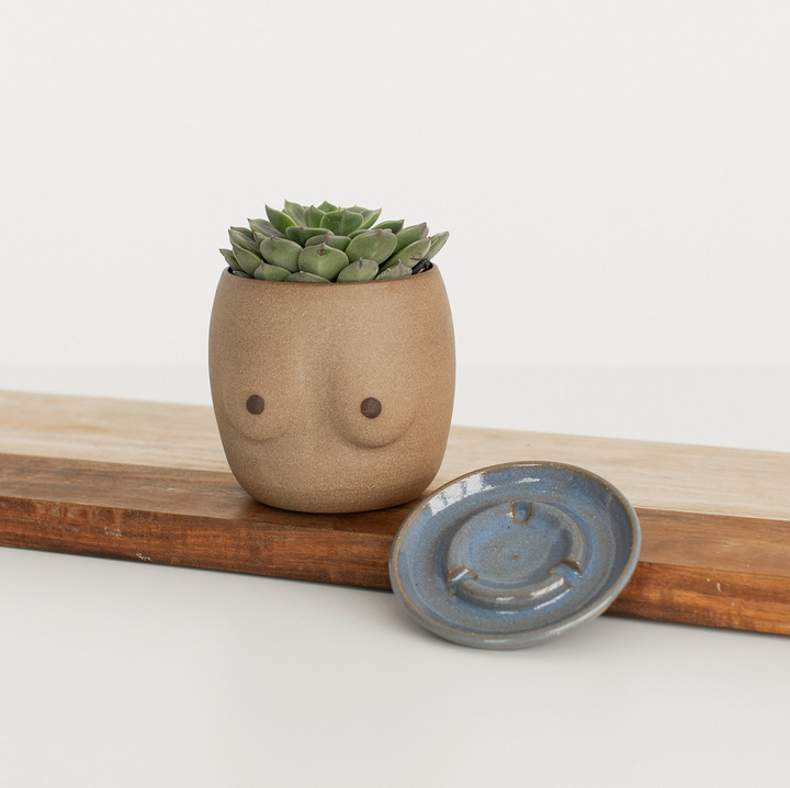 Venus Planter Set