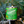 Load image into Gallery viewer, Vermont State Candle - 1/2 Pint
