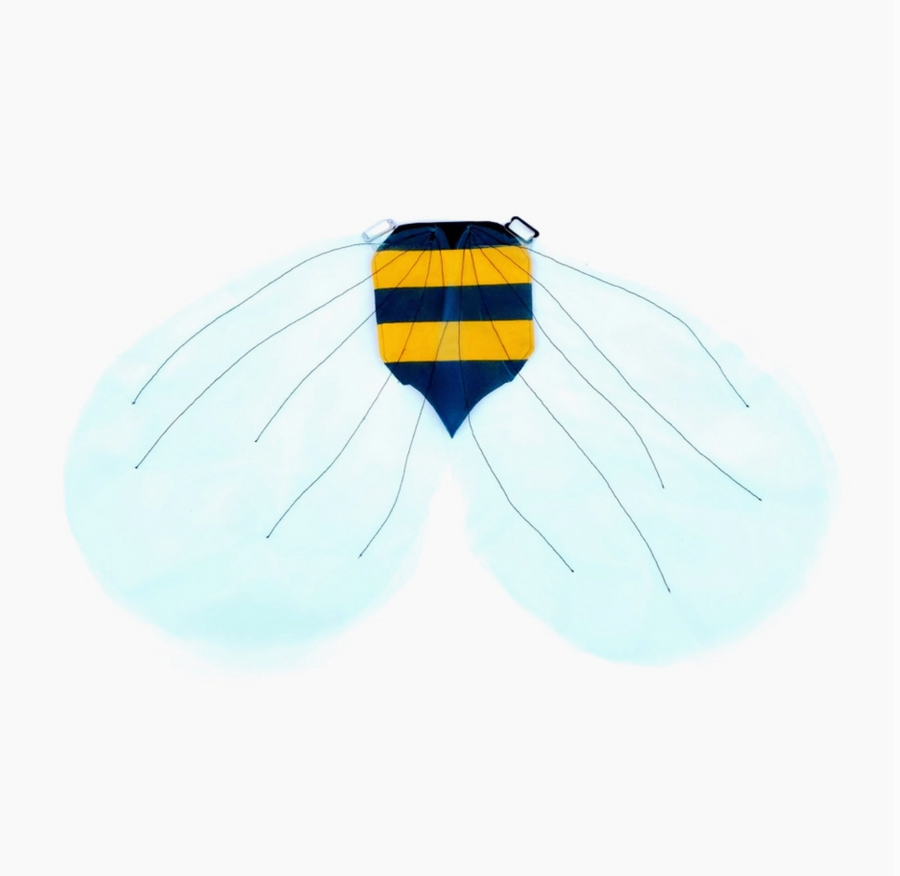 Bumble Bee Wings