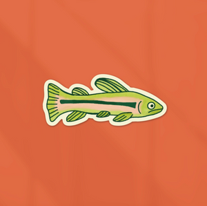 Rainbow Trout Sticker