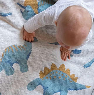 Dinosaur Blanket - Pacific/Rain/Oatmeal