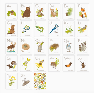 Woodland Friends ABC Card Set